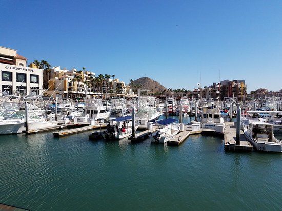 Marina Cabo San Lucas